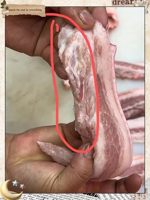 什么是淋巴肉_2