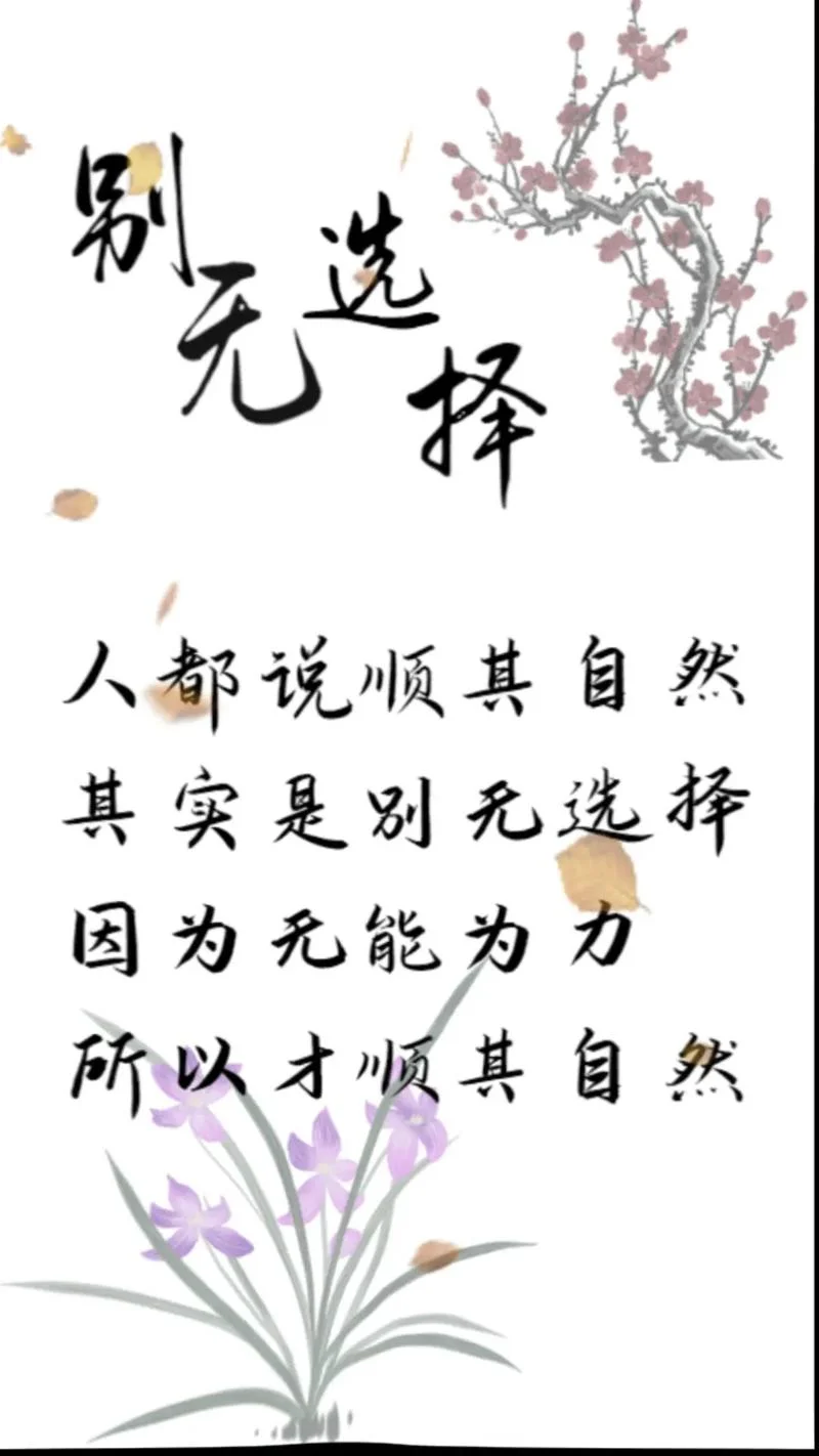 顺其自然说说致自己-顺其自然说给自己