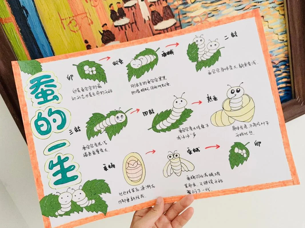 蚕的生长过程简单介绍_2