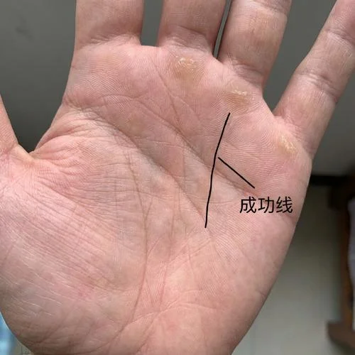 人找挫折手相怎么看_2
