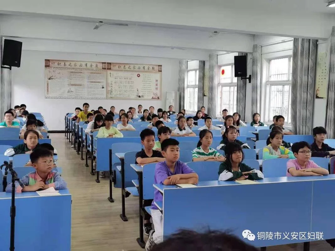 铜陵钟鸣中学_1