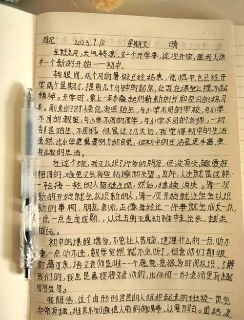 什么是周记该怎么写-周记写作指南