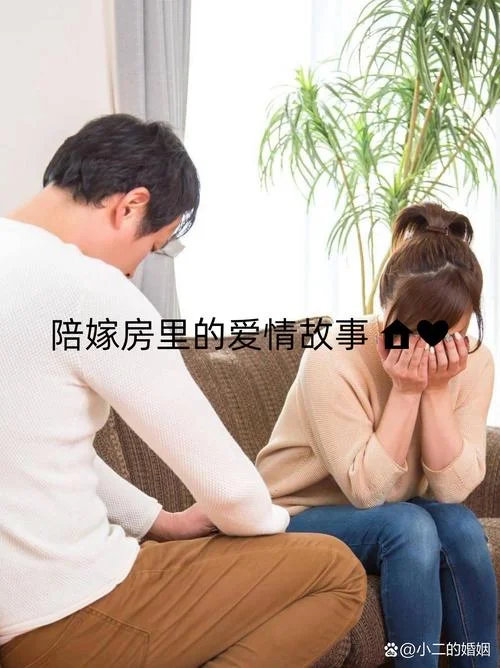 婚姻的故事剧情_2