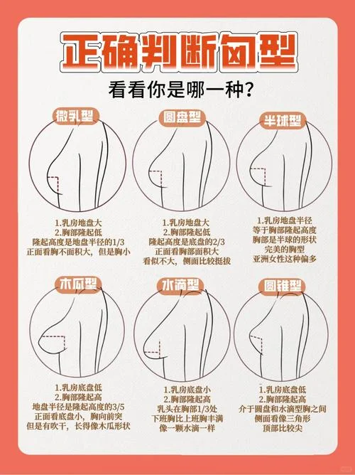 胸部正位多少钱-胸部正位多少钱