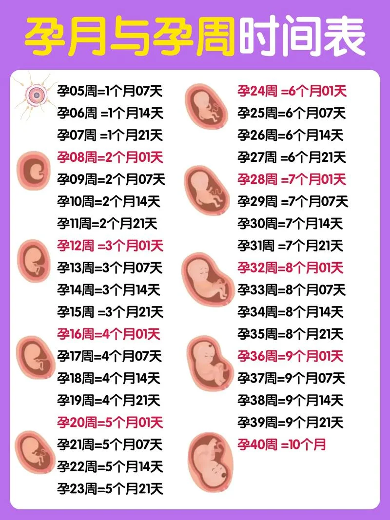 如何胎教 孕几月开始合适-胎教孕月开始