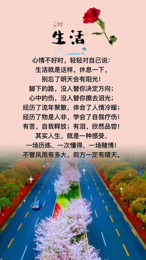 最透彻的人生感悟句子_2