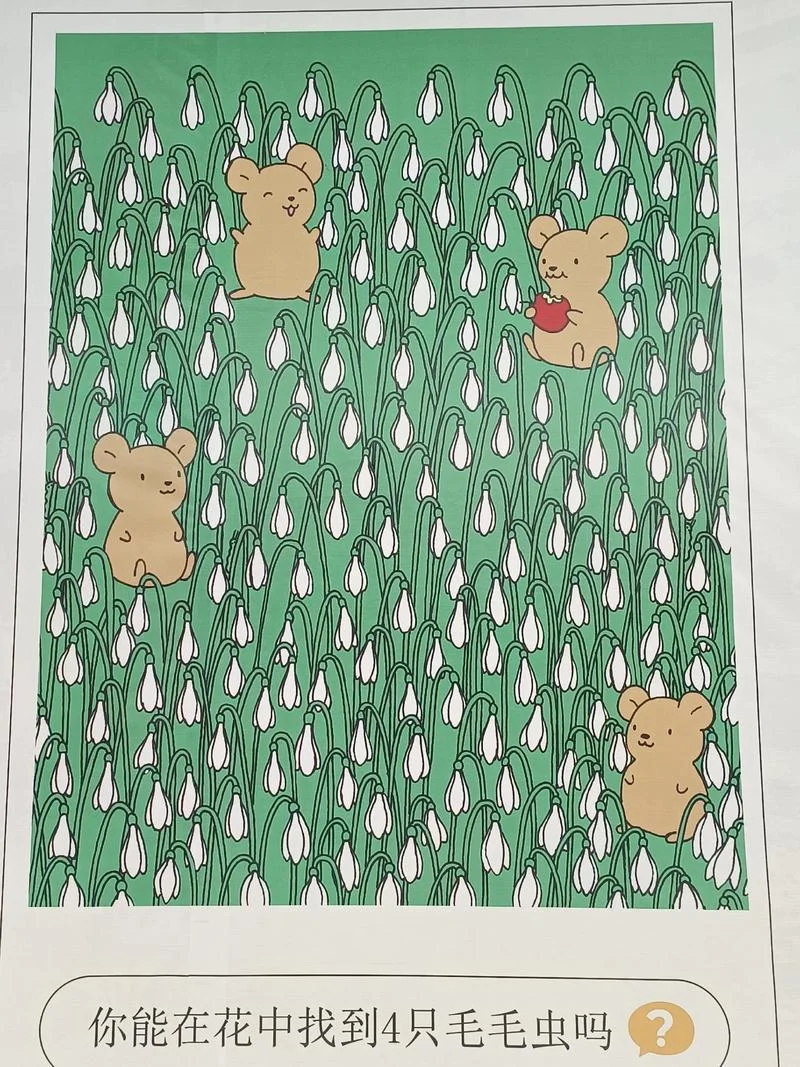 史上最牛找茬安装不了_1