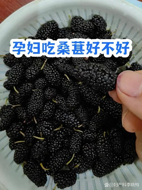 梦见吃桑葚什么意思啊_2