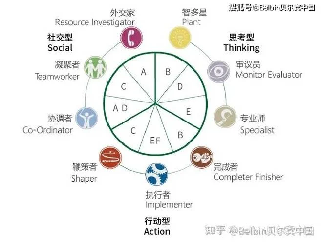 项目团队分析_1