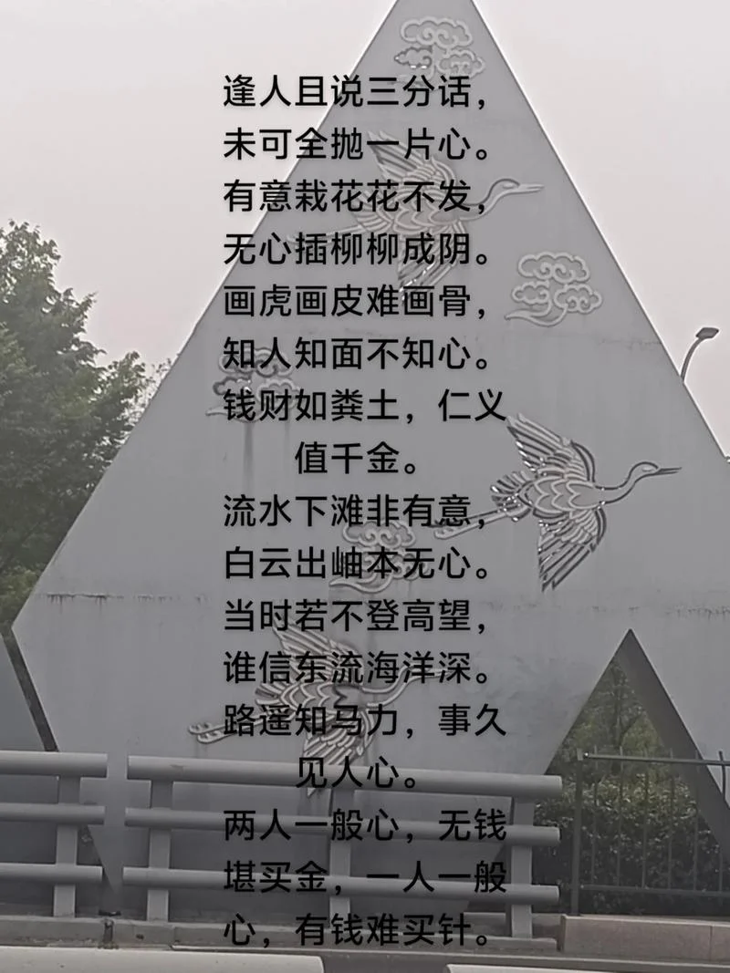 出其不意下一句什么_2