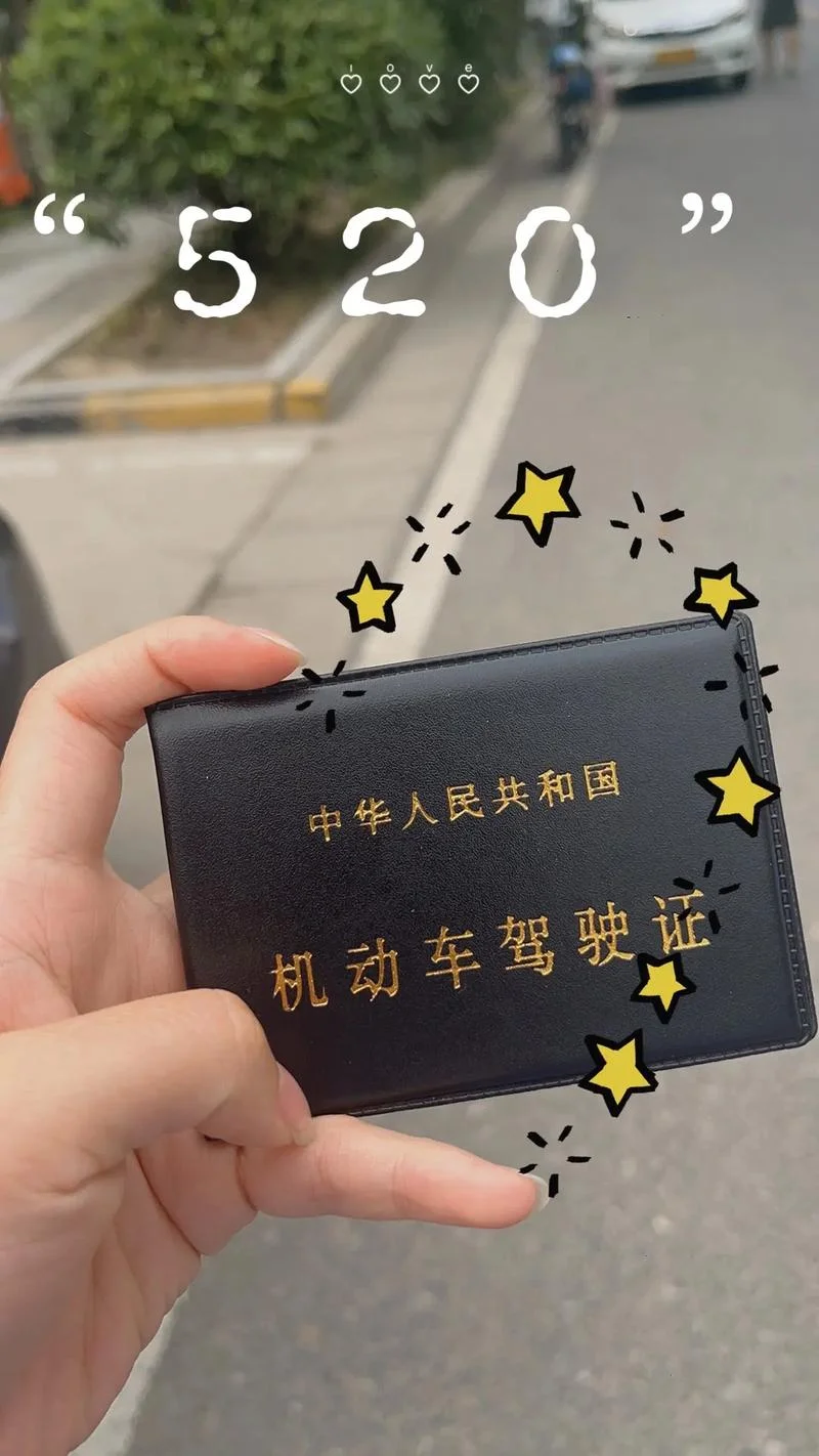 史上最牛驾照手写-手写驾照最全