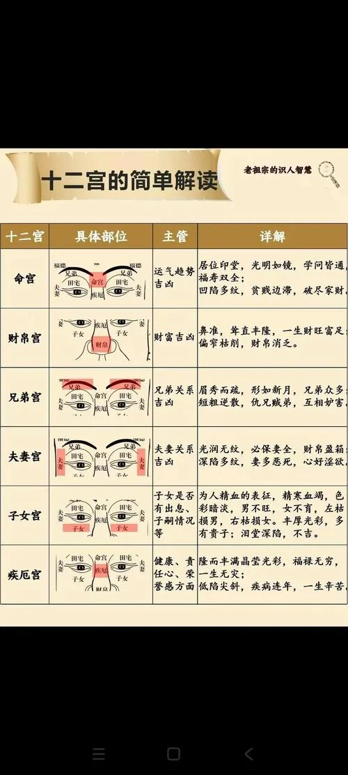 看人面相的人-观人面相者