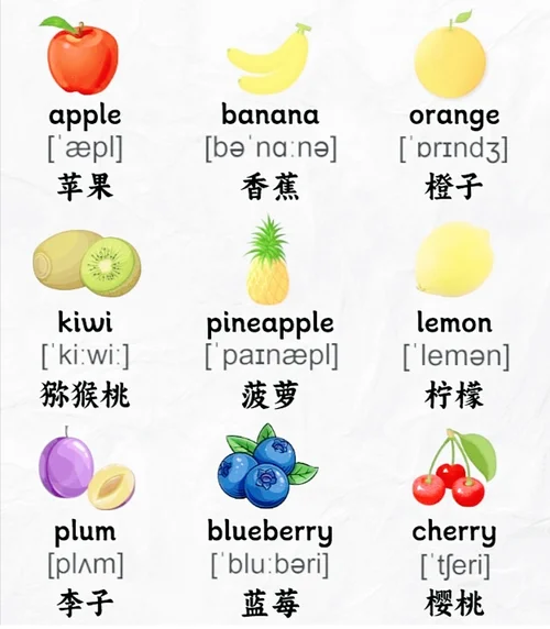 番茄用英语怎么说读音_1