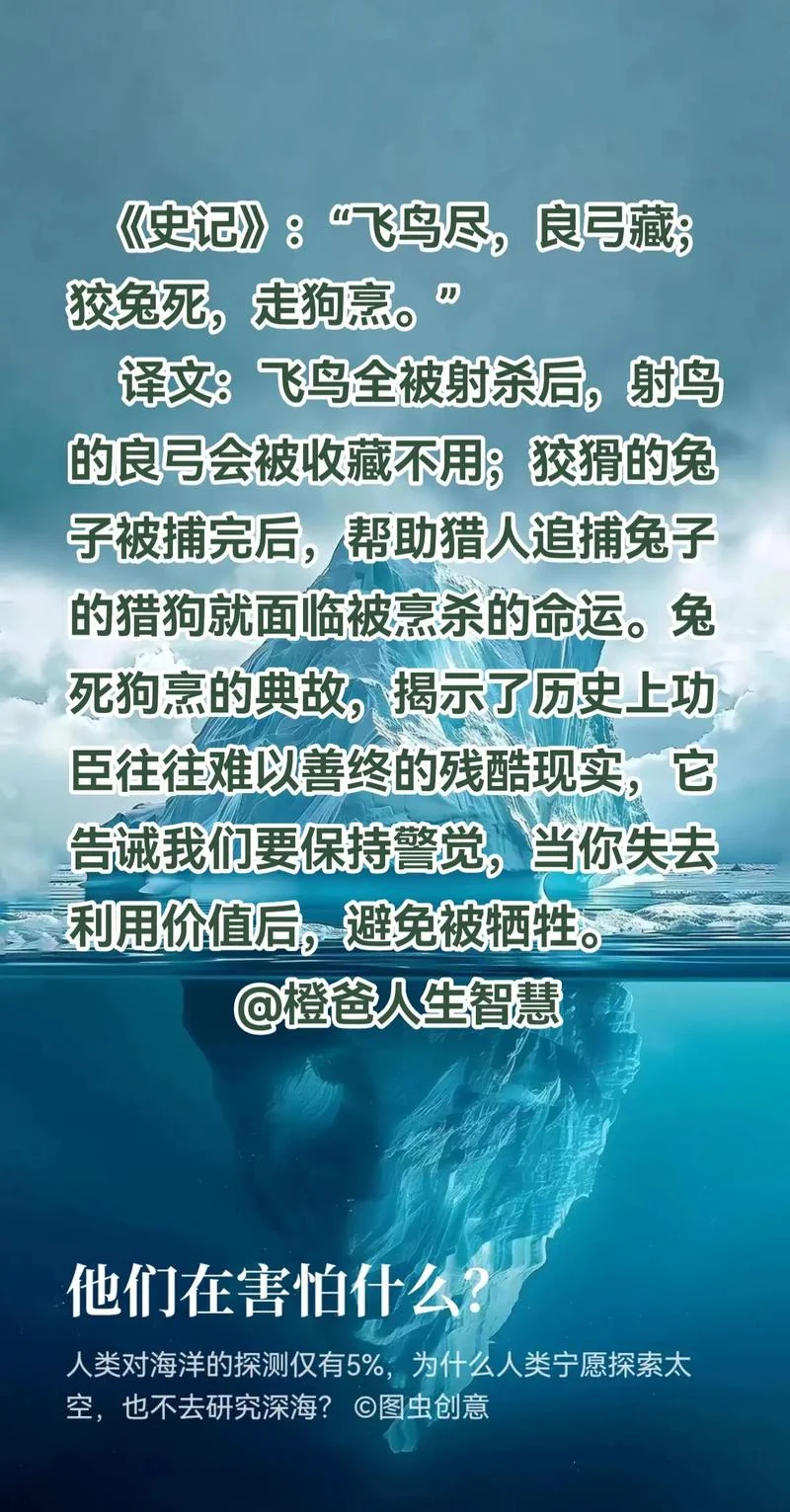 羽翼未满的含义是什么_1