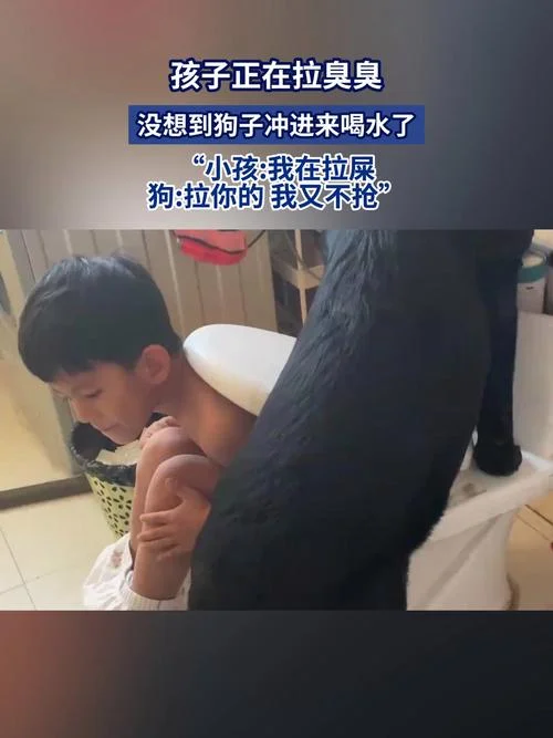 梦见儿子拉屎-