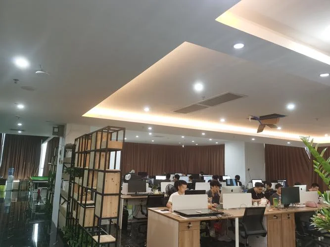 做网络公司做什么好-做网络公司方向