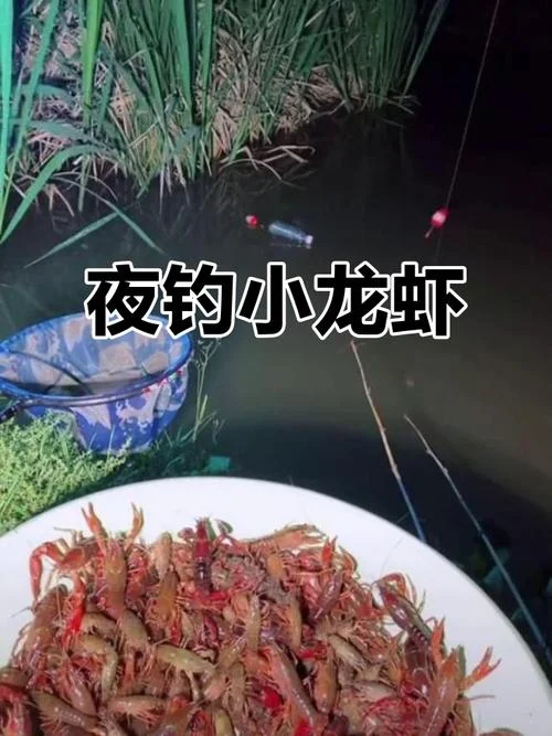 梦到钓小龙虾_2