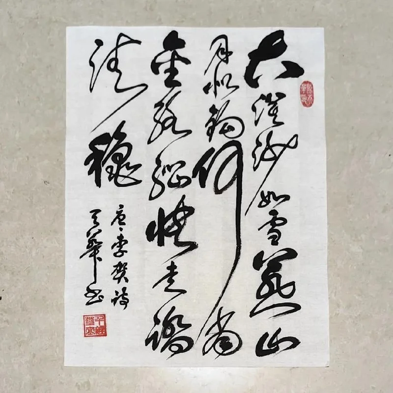 大漠山如雪的下一句-雪落大漠山如诗
