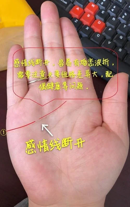 女断掌手相算命图解_2