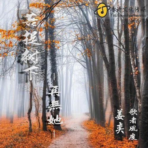 风度歌词哪年发布-2024 年发布