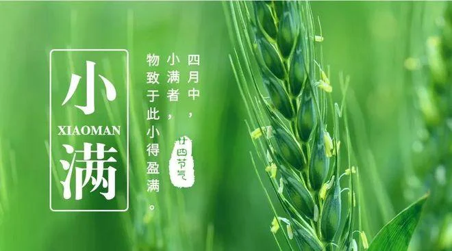 每年小满是几月几号-小满是每年几月几号