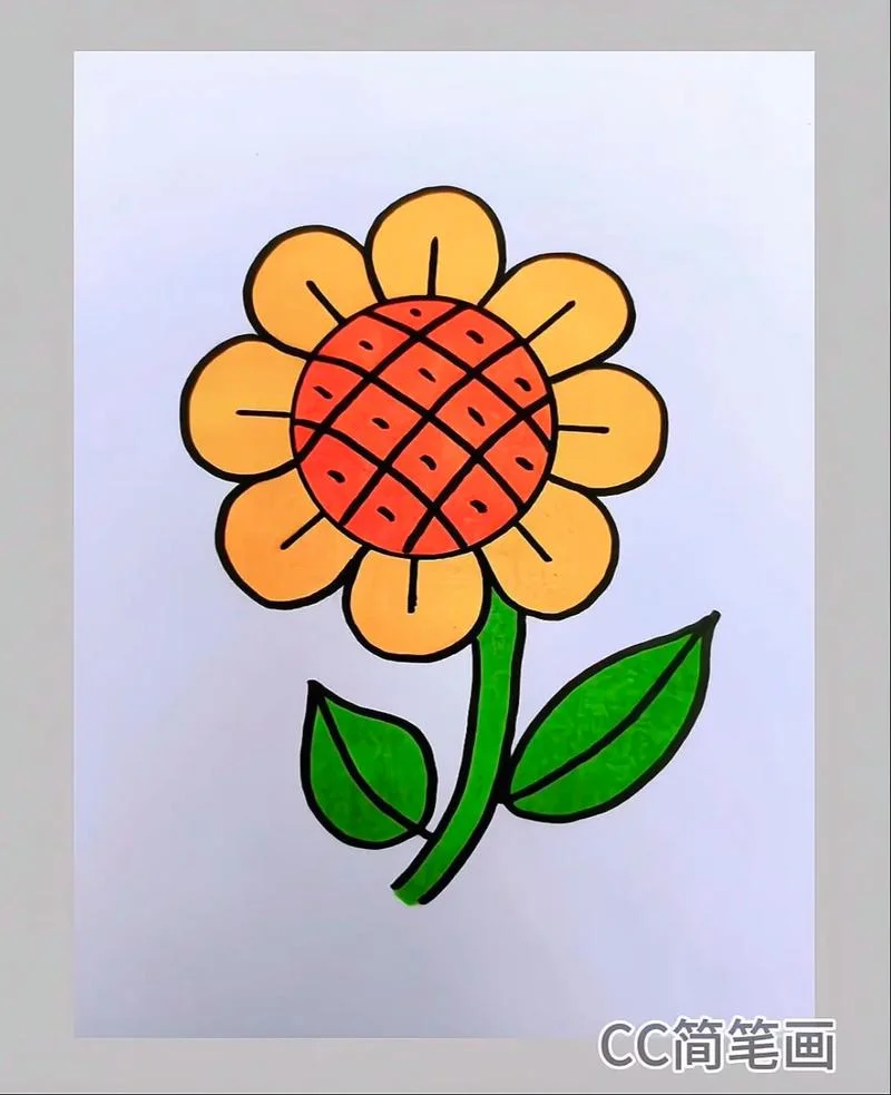 儿童画画大全简笔画花_1