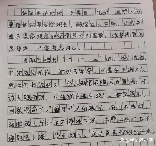 军训感悟20字-军训磨砺青春