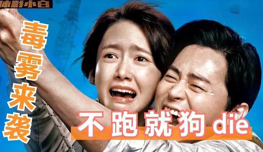电影狗果定理今日票房_2
