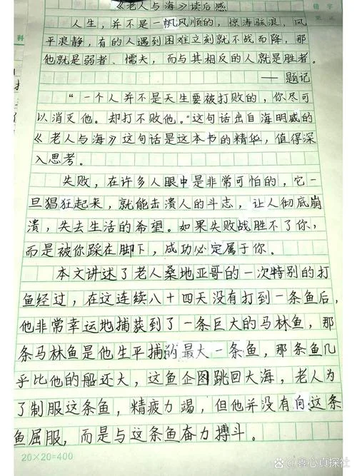 老人与海感悟20字-老人与海：硬汉精神