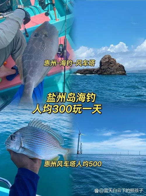 什么是海投_1