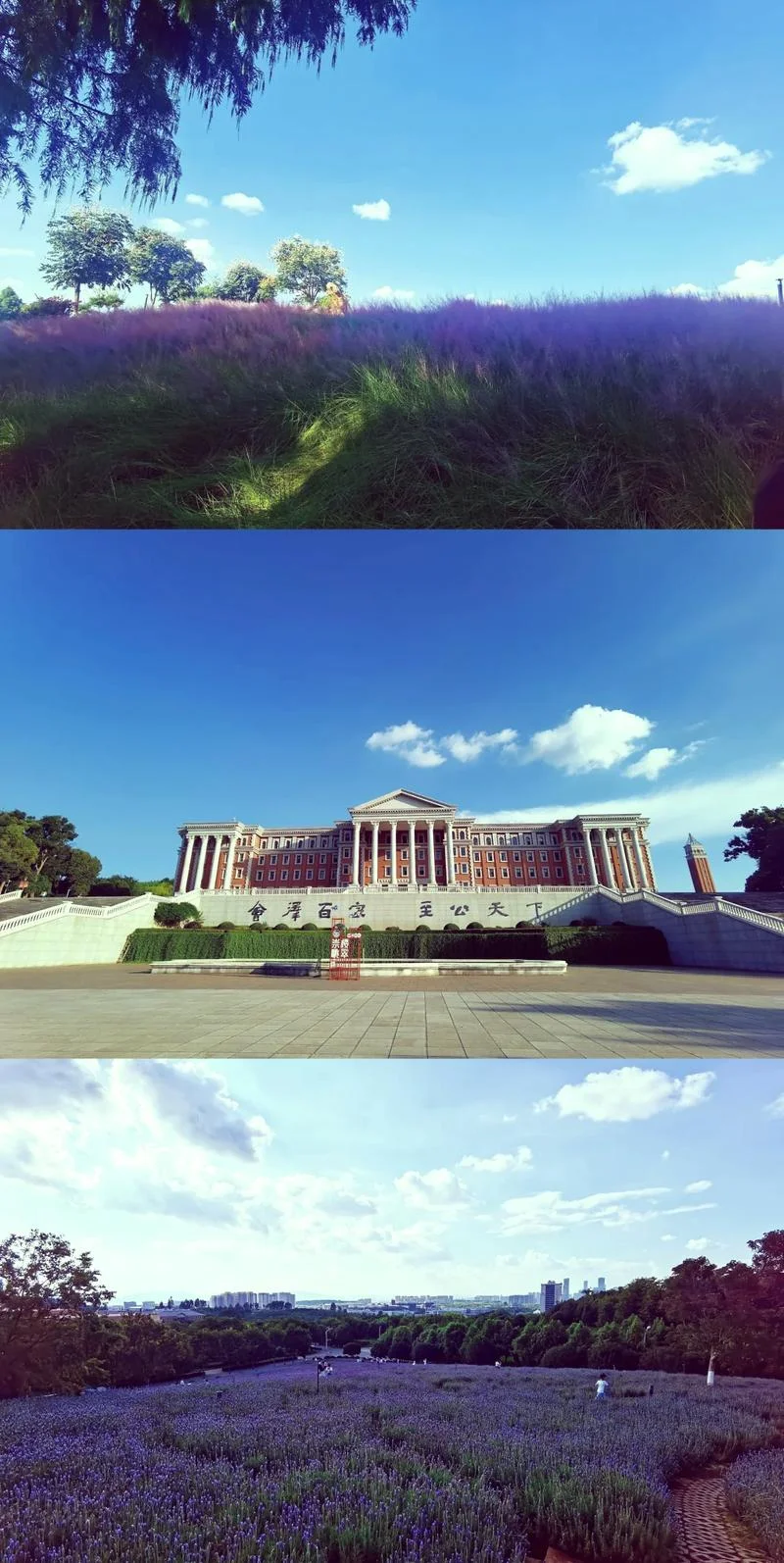云南本科大学有哪些-云南本科大学有哪些
