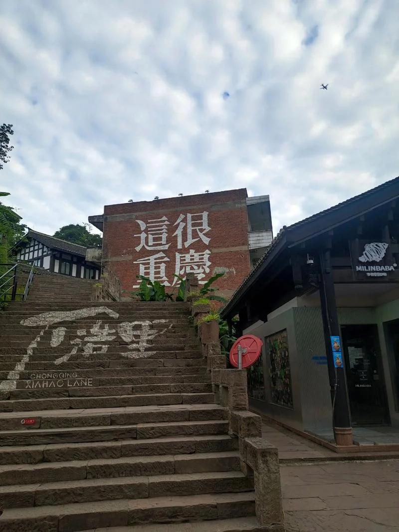 肖战介绍重庆-肖战介绍重庆