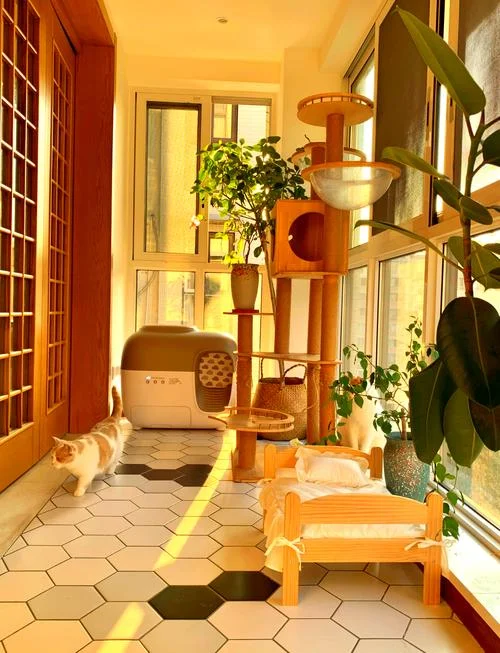 家居生活_2