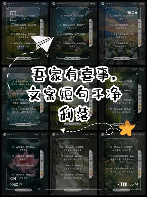 我家有喜事文案_1