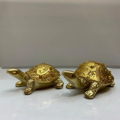 梦到金色乌龟_1