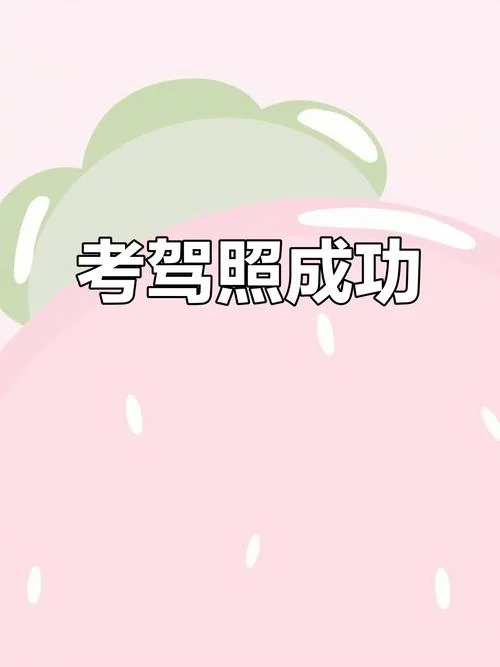 梦见开车考试_1