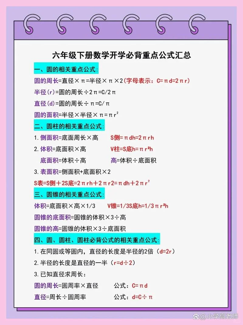 小学数学六年级公式_2