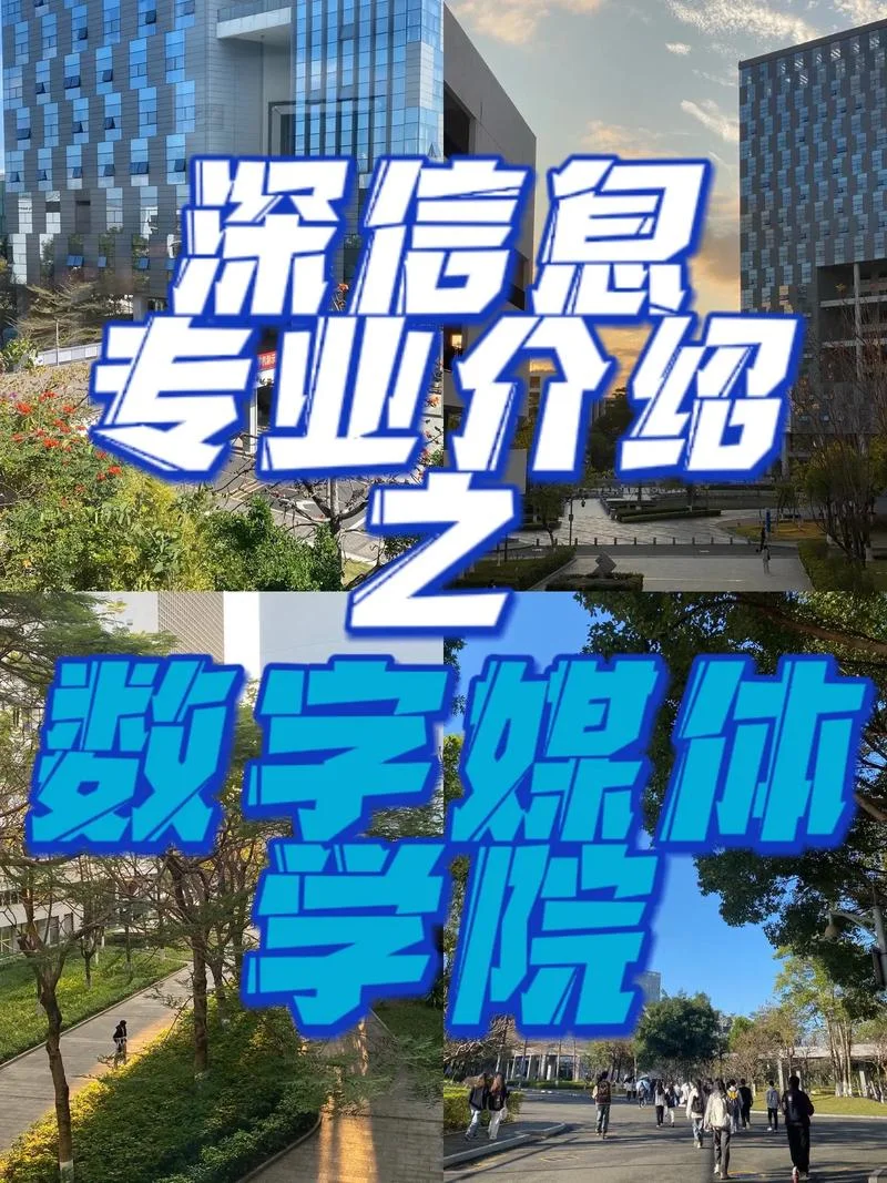数字媒体美国大学_2