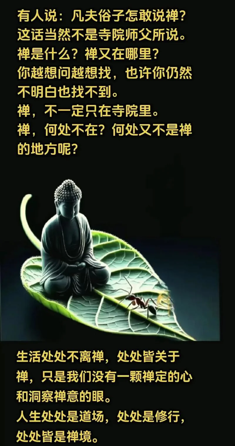 什么是禅养_1