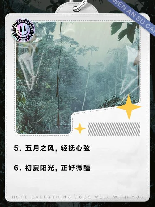 五月天文案短句高级-五月天高级短句