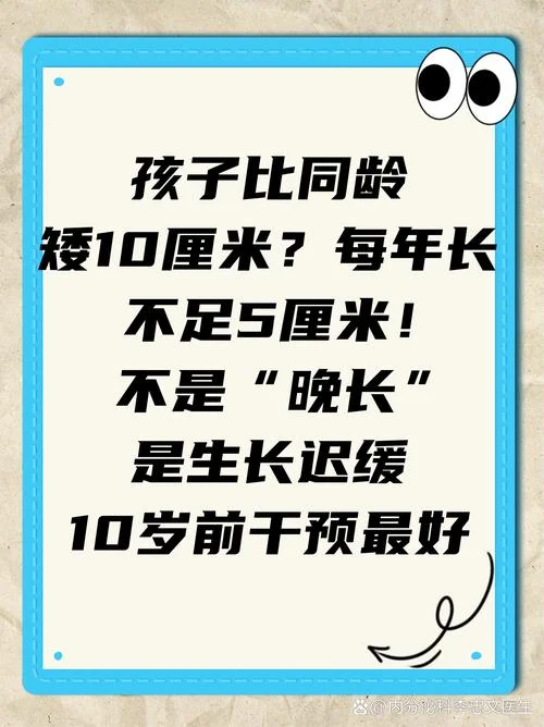 是岁是什么意思_2