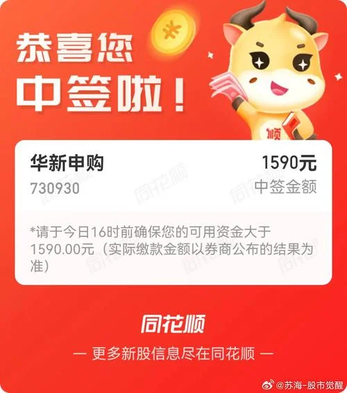 申购新股中签号在哪查_1