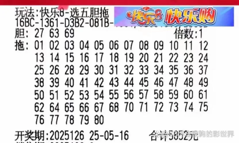 复式二中二公式 4个号-改写后的关键词：复式二中二公式
