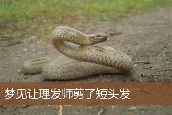 做梦梦见被鬼剪头发_2