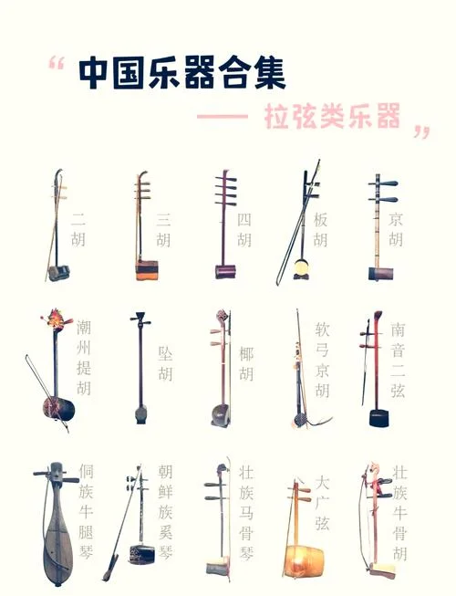 艺考乐器是哪几种-艺考乐器共几类