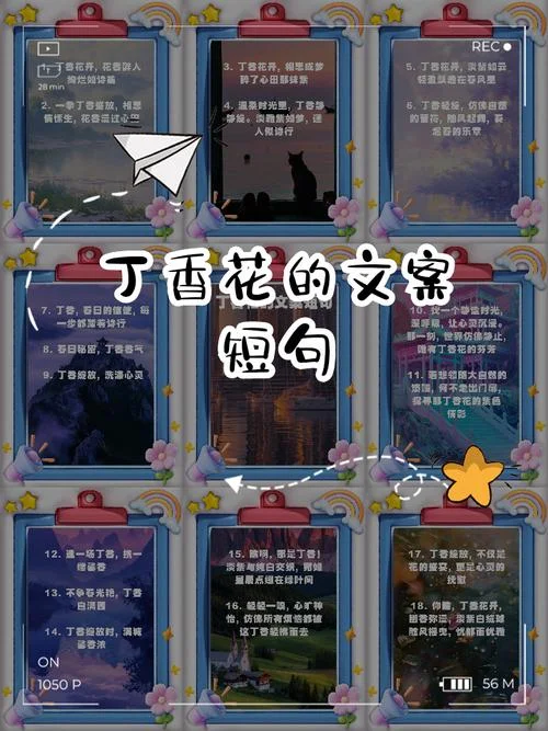 花草香的上一句是什么_1