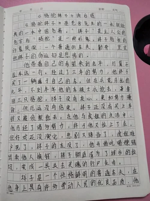 骆驼祥子5-6读后感_1