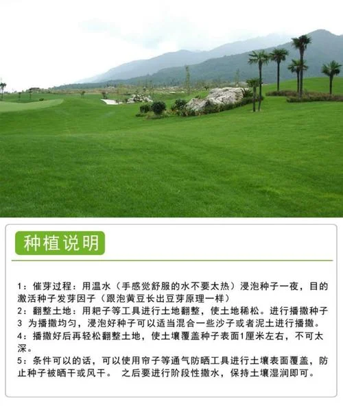 草坪公司取什么名字好-草皮取个好名