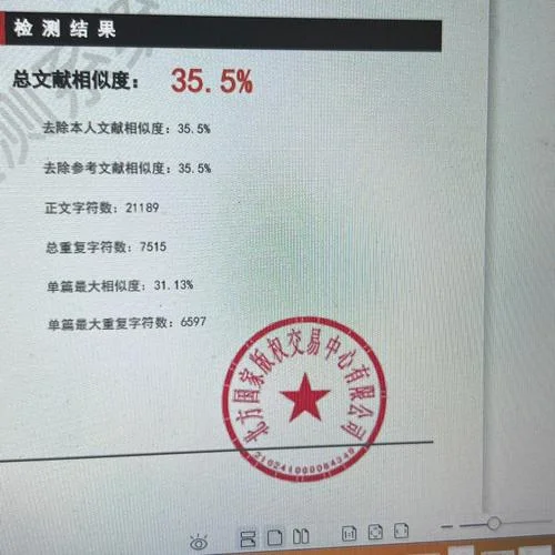 英文论文如何进行检测查重_1