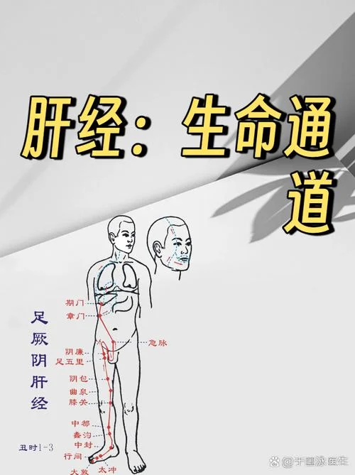 中医经络图原理_2